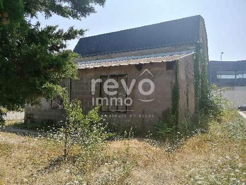  à vendre maison Mozé-sur-Louet Maine-et-Loire 5