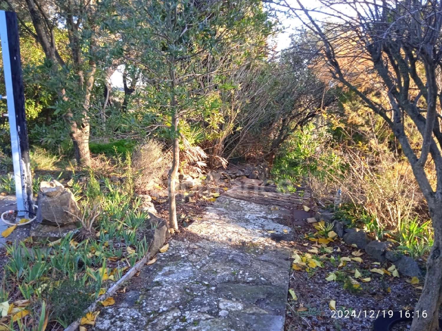  kaufen Haus Conilhac-Corbières Aude 7