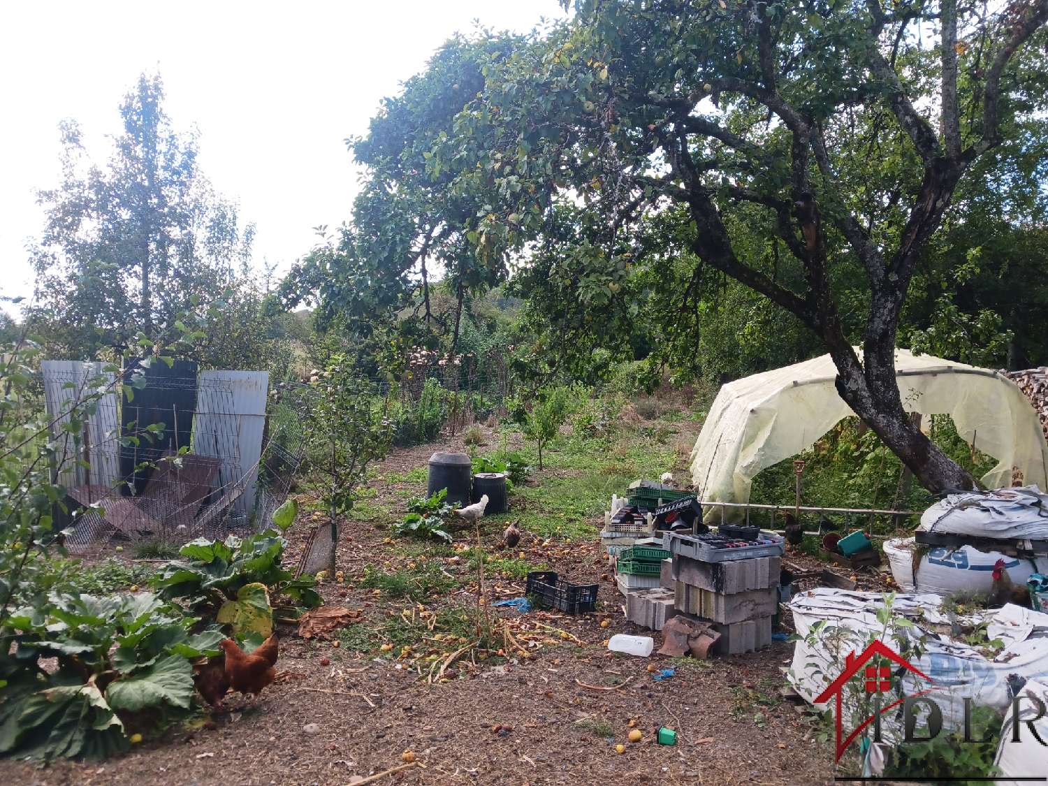  kaufen Haus Vernois-sur-Mance Haute-Saône 8