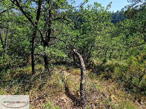  kaufen Grundstück Toudon Alpes-Maritimes 4