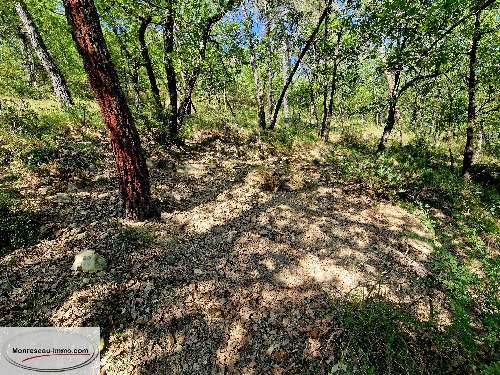  kaufen Grundstück Toudon Alpes-Maritimes 7