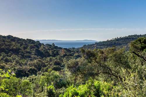 Le Lavandou Var Villa Bild 6994846