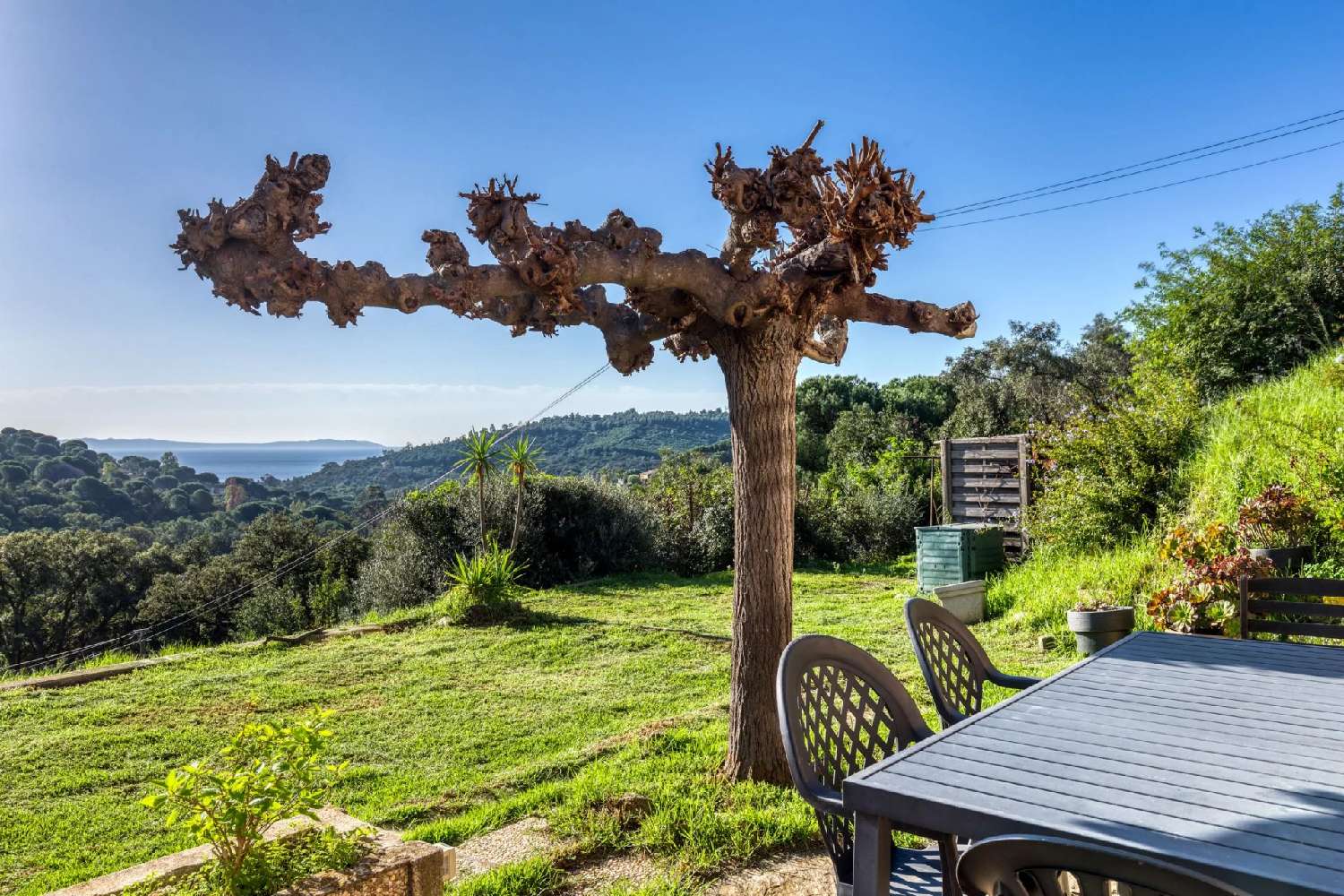 à vendre villa Le Lavandou Var 3