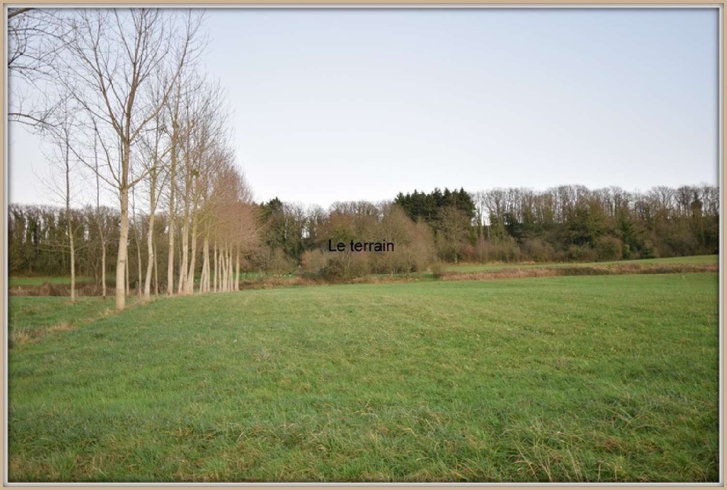  kaufen Grundstück Vandy Ardennes 2