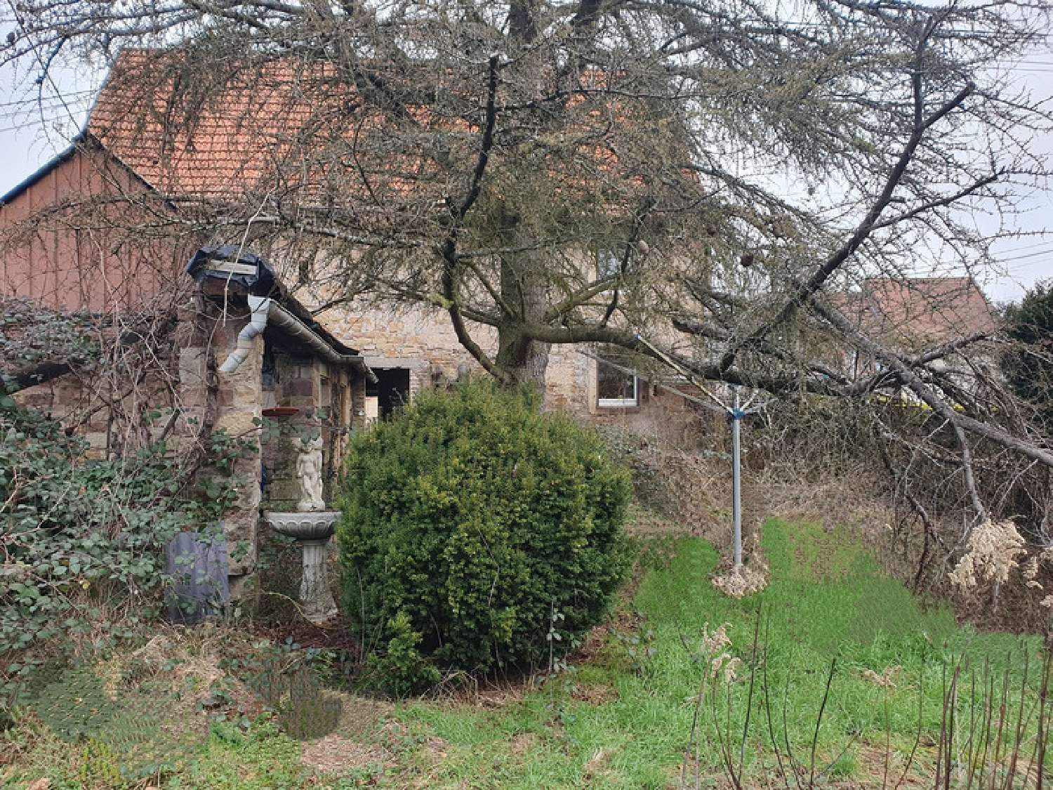  kaufen Haus Molsheim Bas-Rhin 2