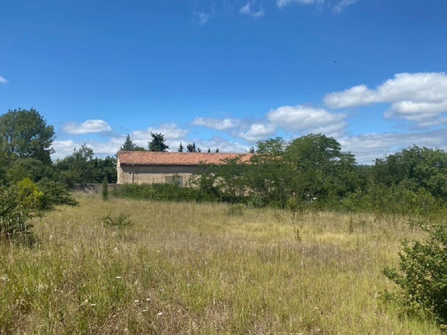  à vendre maison Pierrerue Hérault 5