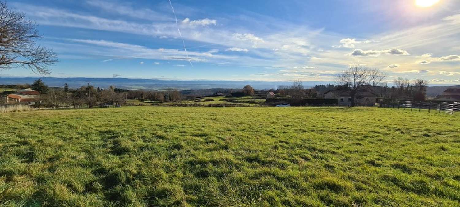  à vendre terrain Cezay Loire 6