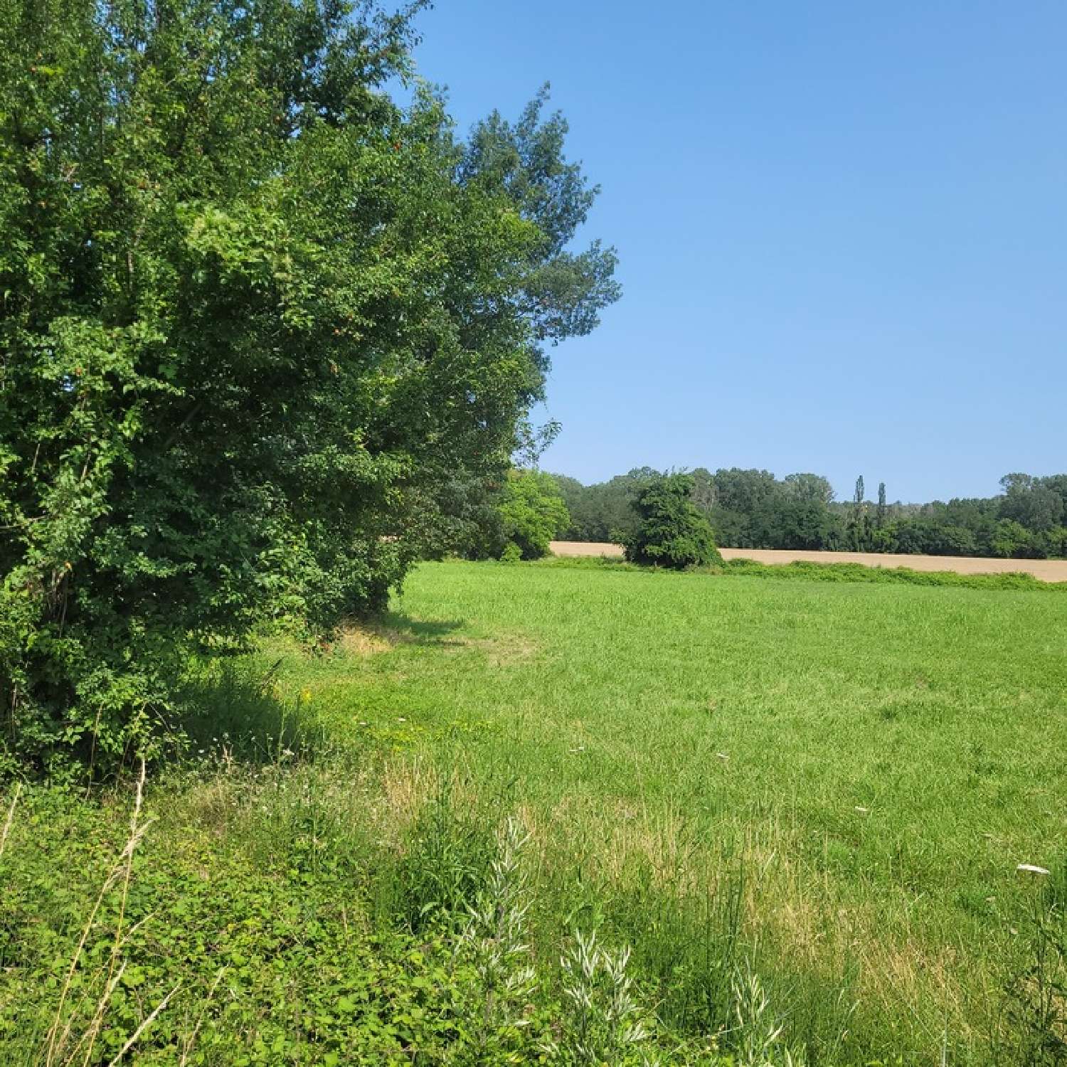  te koop terrein Saint-Christol-lès-Alès Gard 2