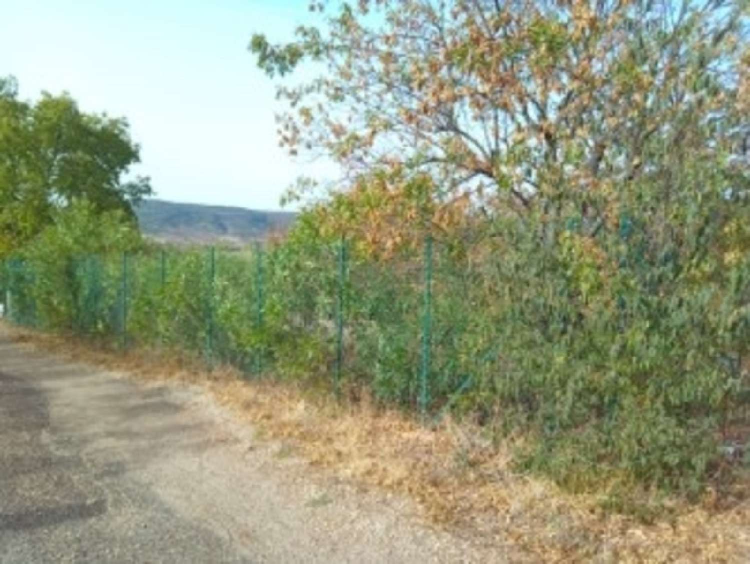  kaufen Grundstück Salasc Hérault 3