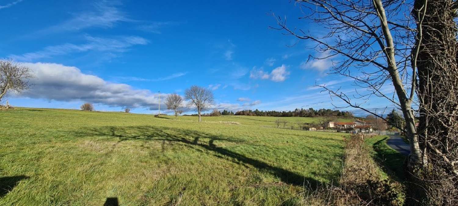  à vendre terrain Cezay Loire 8