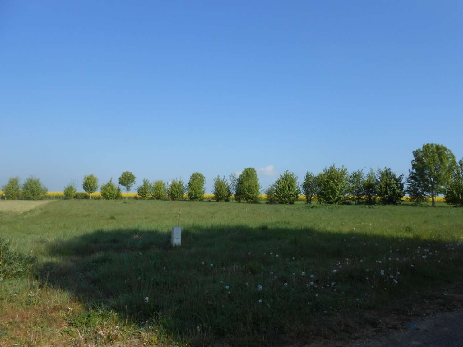  for sale terrain La Selle-sur-le-Bied Loiret 6