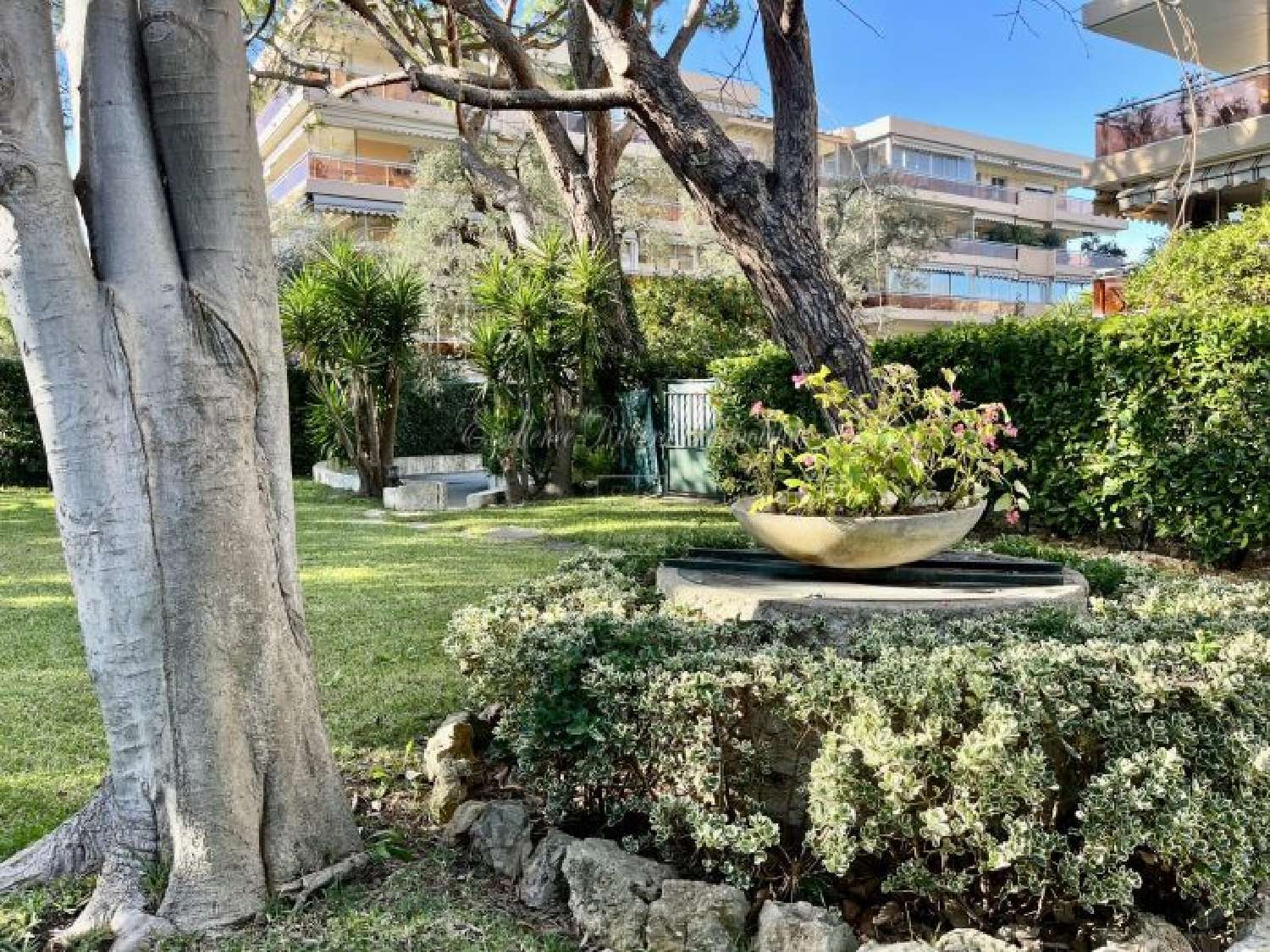  for sale apartment Antibes Alpes-Maritimes 6
