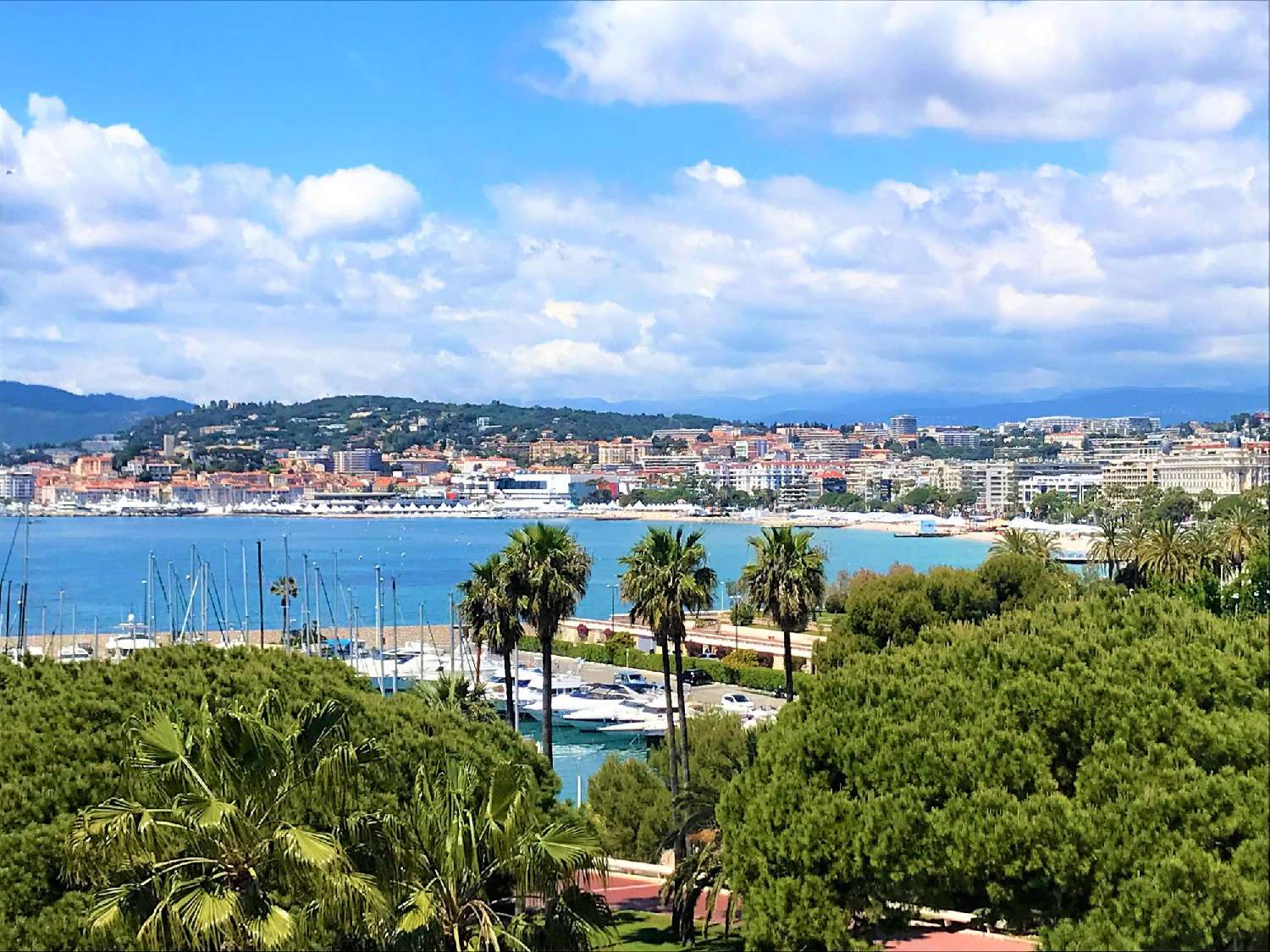  te koop appartement Cannes Alpes-Maritimes 7