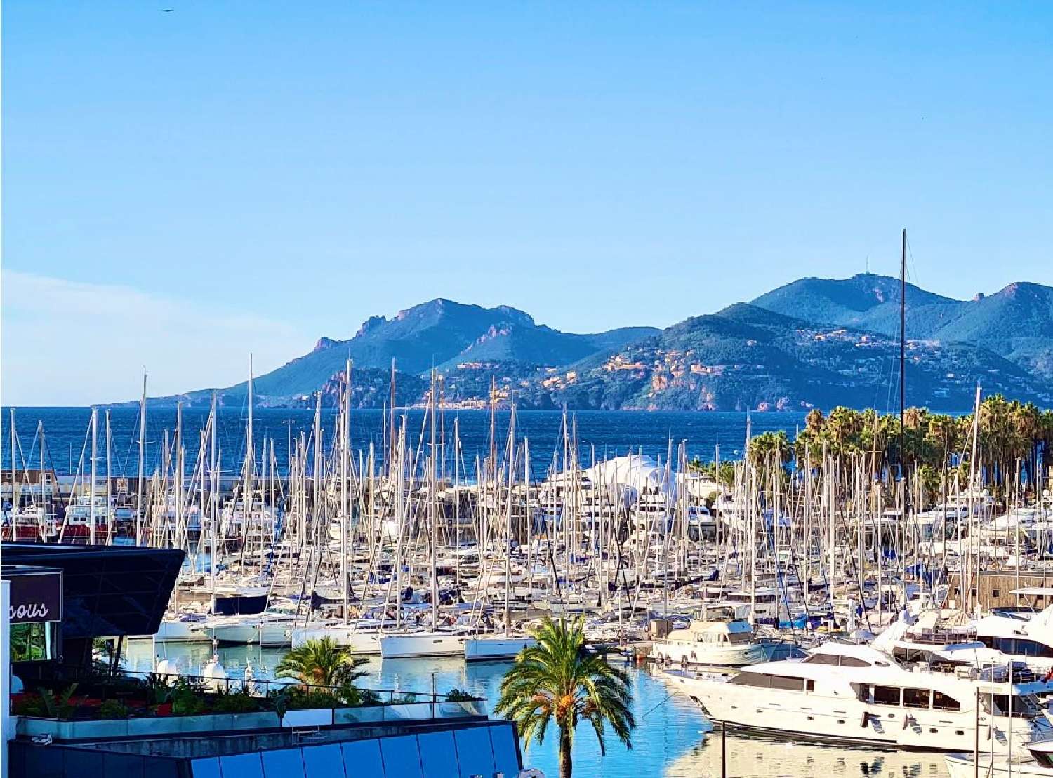  te koop appartement Cannes Alpes-Maritimes 3