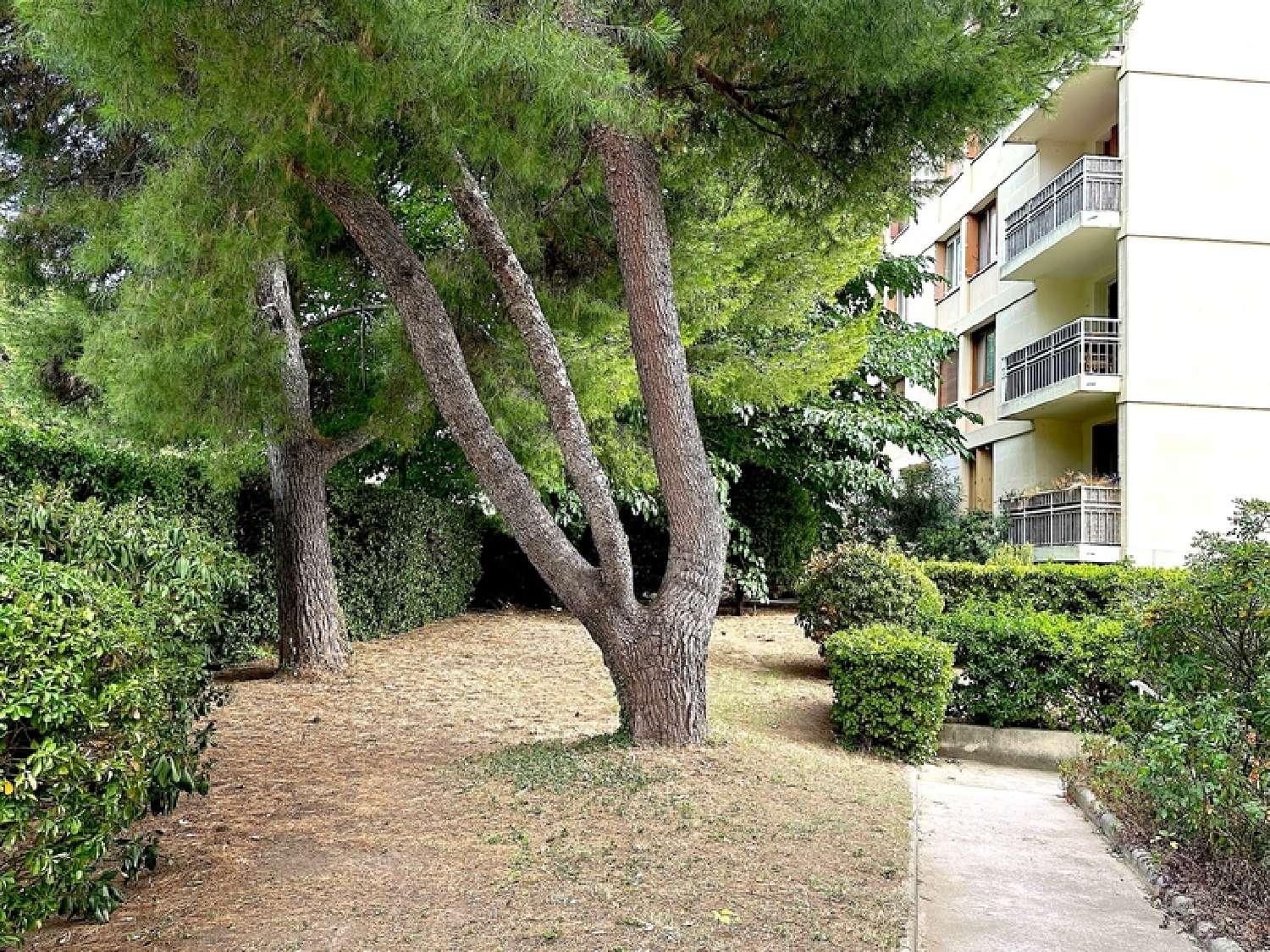 La Panouse Bouches-du-Rhône Wohnung/ Apartment Bild 6821351