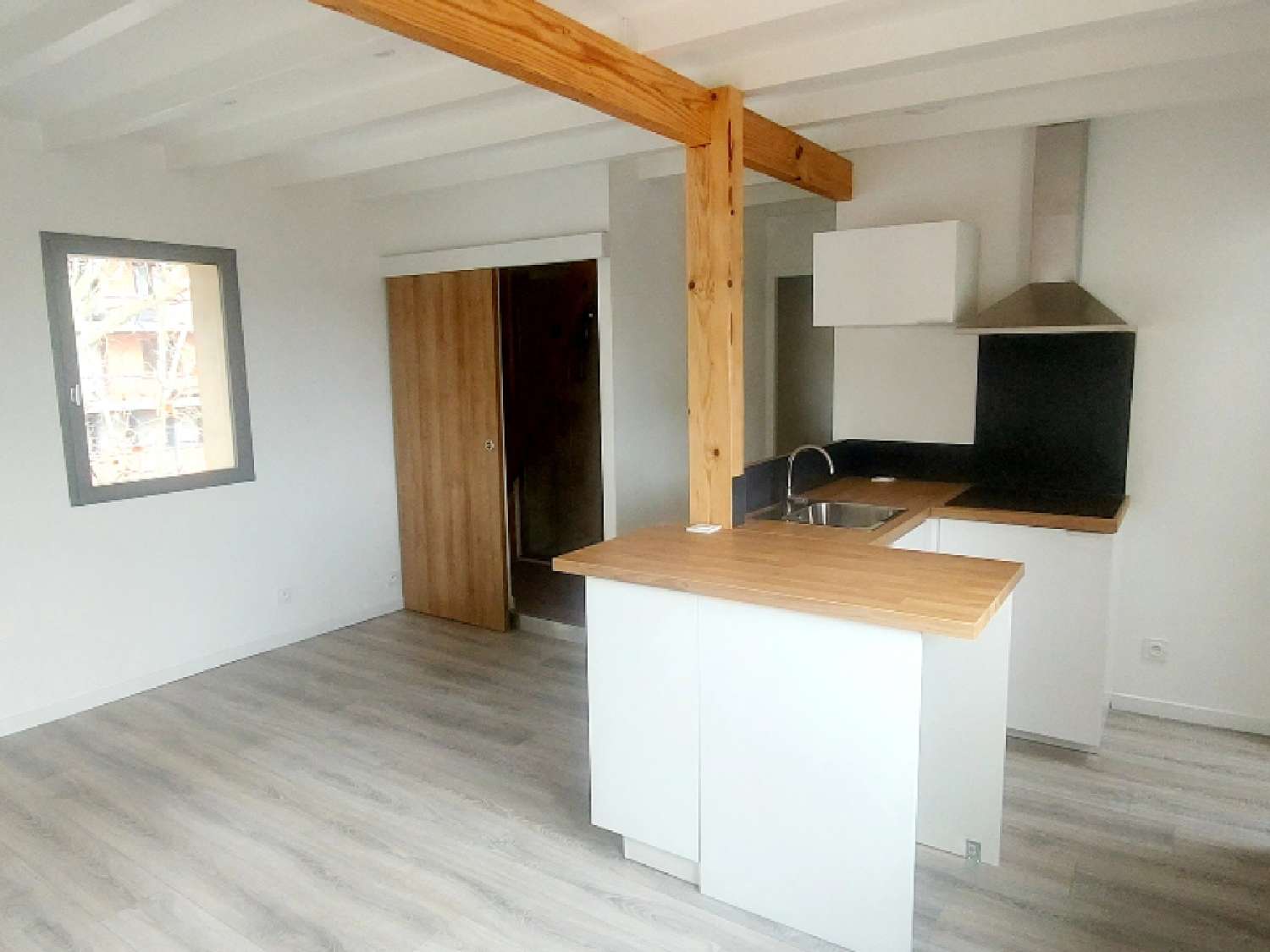 Toulouse Haute-Garonne Wohnung/ Apartment Bild 6811328