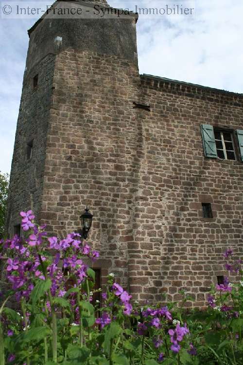  te koop gîtes/ chambres d'hôtes Mouzieys-Panens Tarn 4