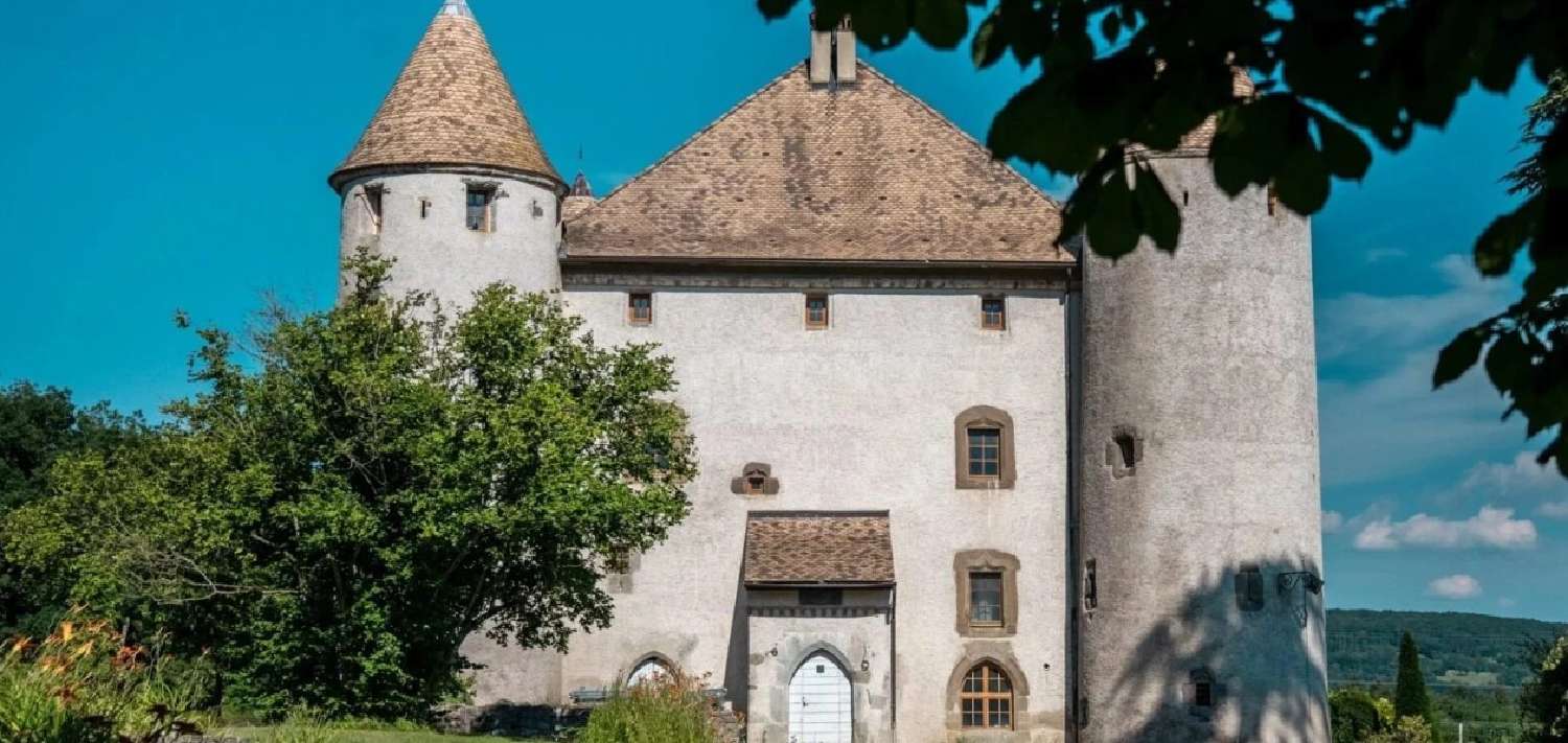  à vendre château Annecy Haute-Savoie 3