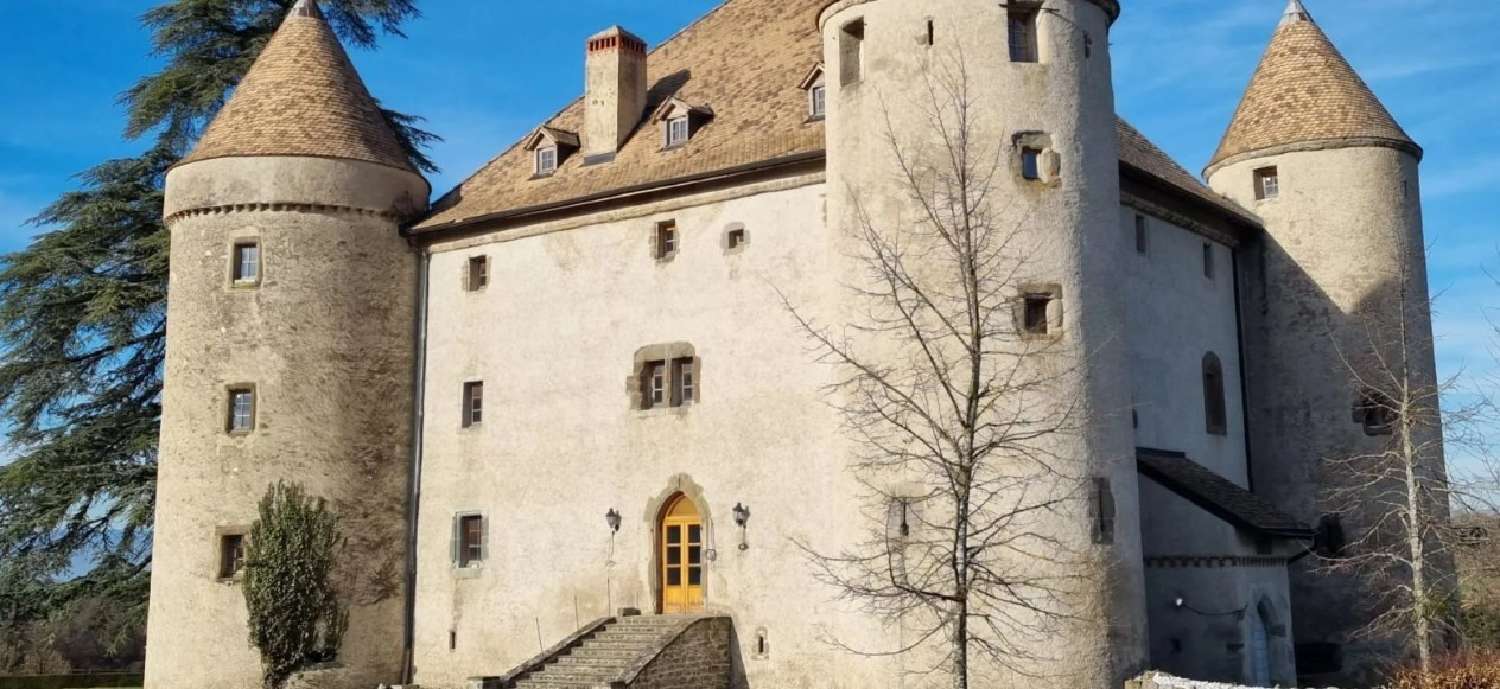  à vendre château Annecy Haute-Savoie 4