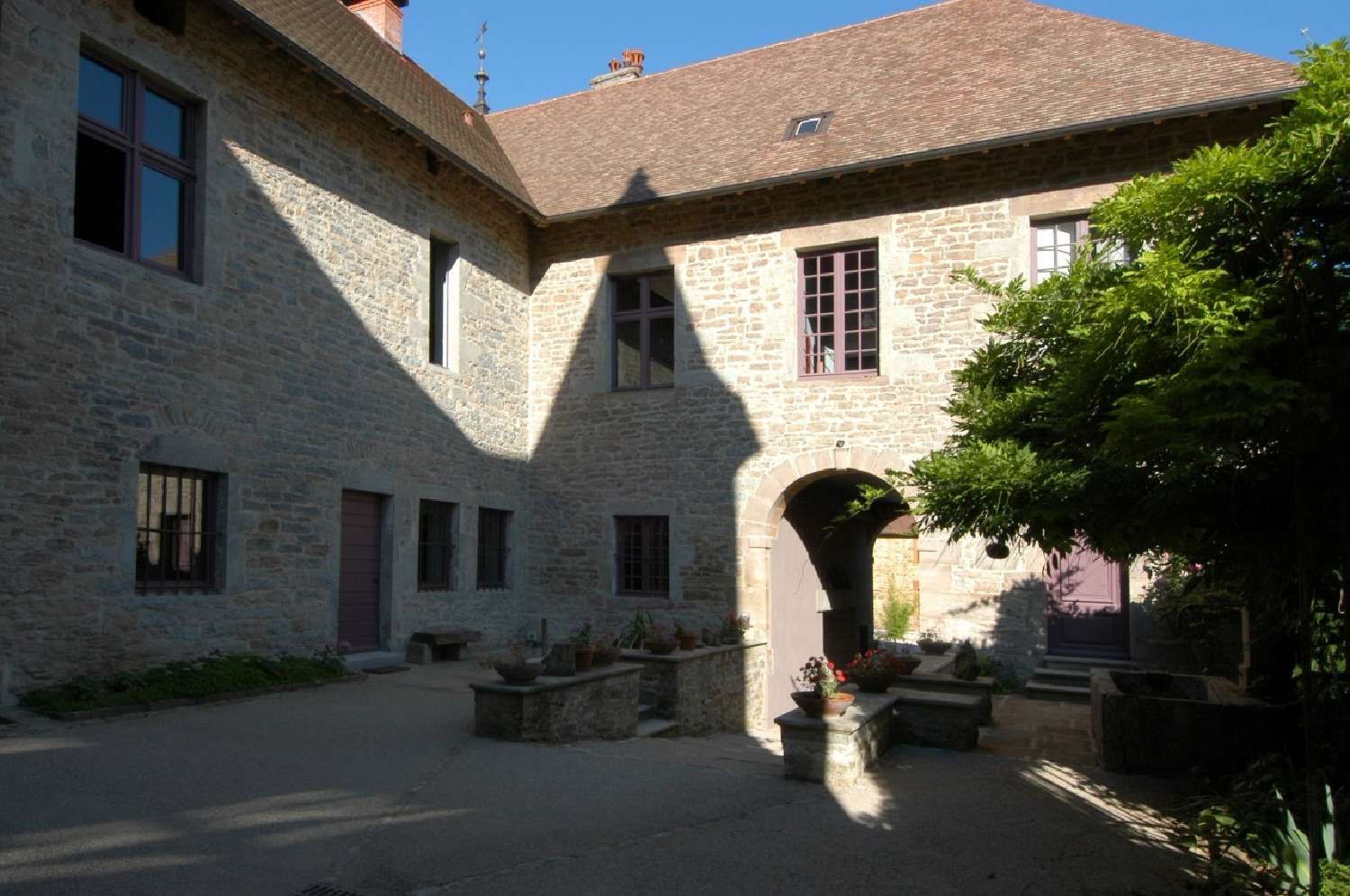 à vendre château Arbois Jura 5