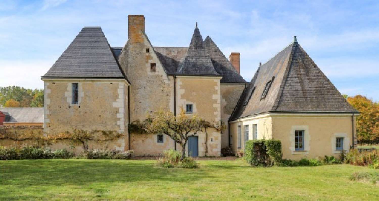  for sale castle Château-du-Loir Sarthe 1