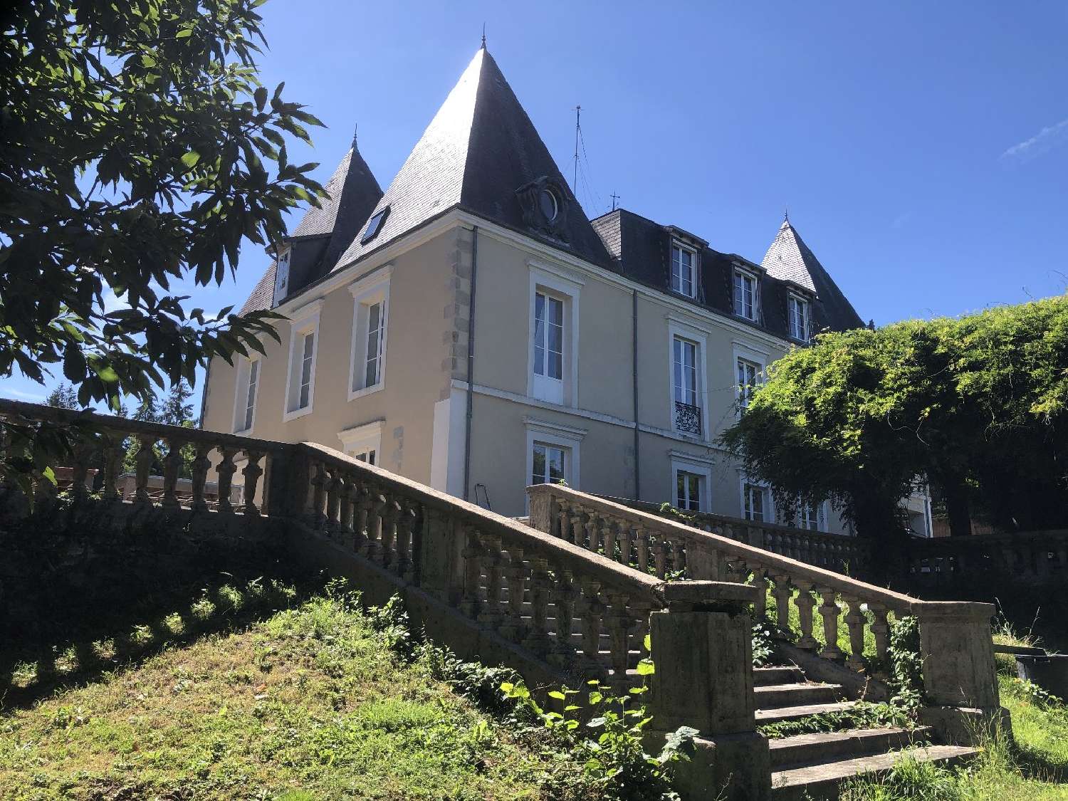  à vendre château Châteauneuf-la-Forêt Haute-Vienne 1