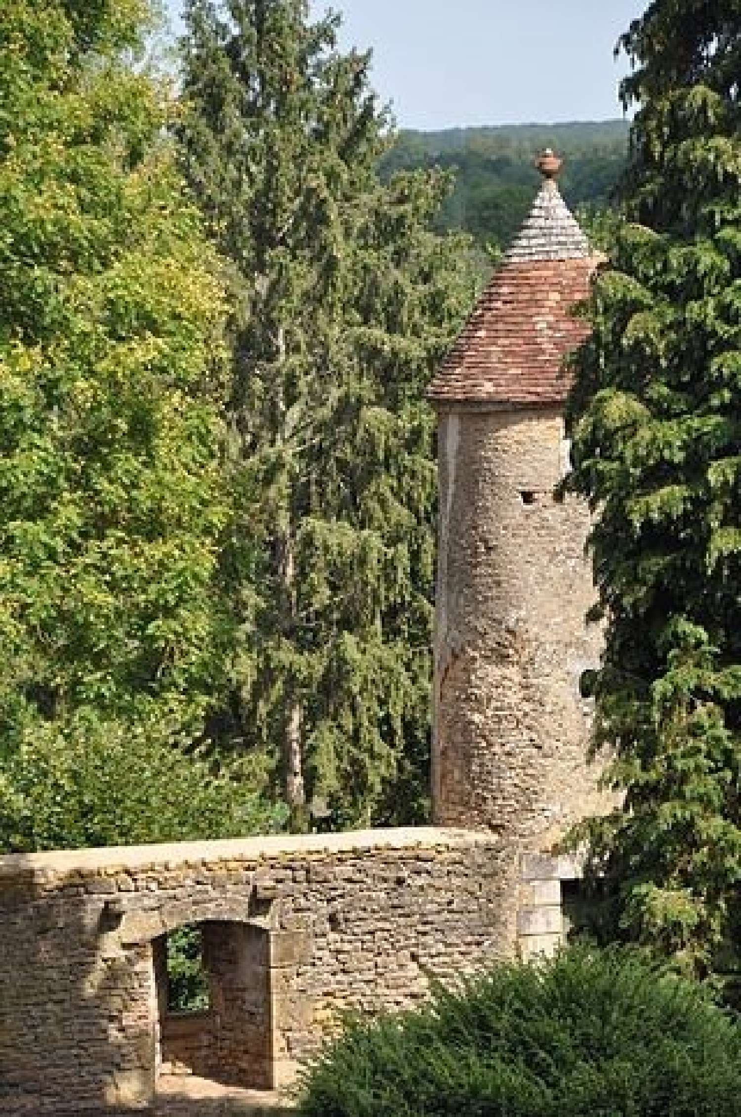  te koop kasteel Châteauroux Indre 8
