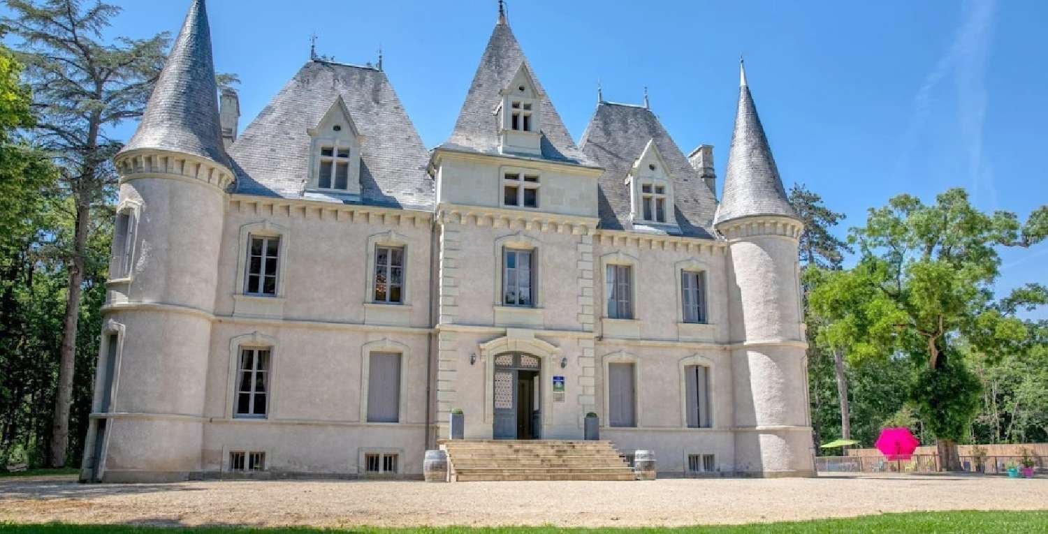 Châtellerault Vienne castle foto 6824738