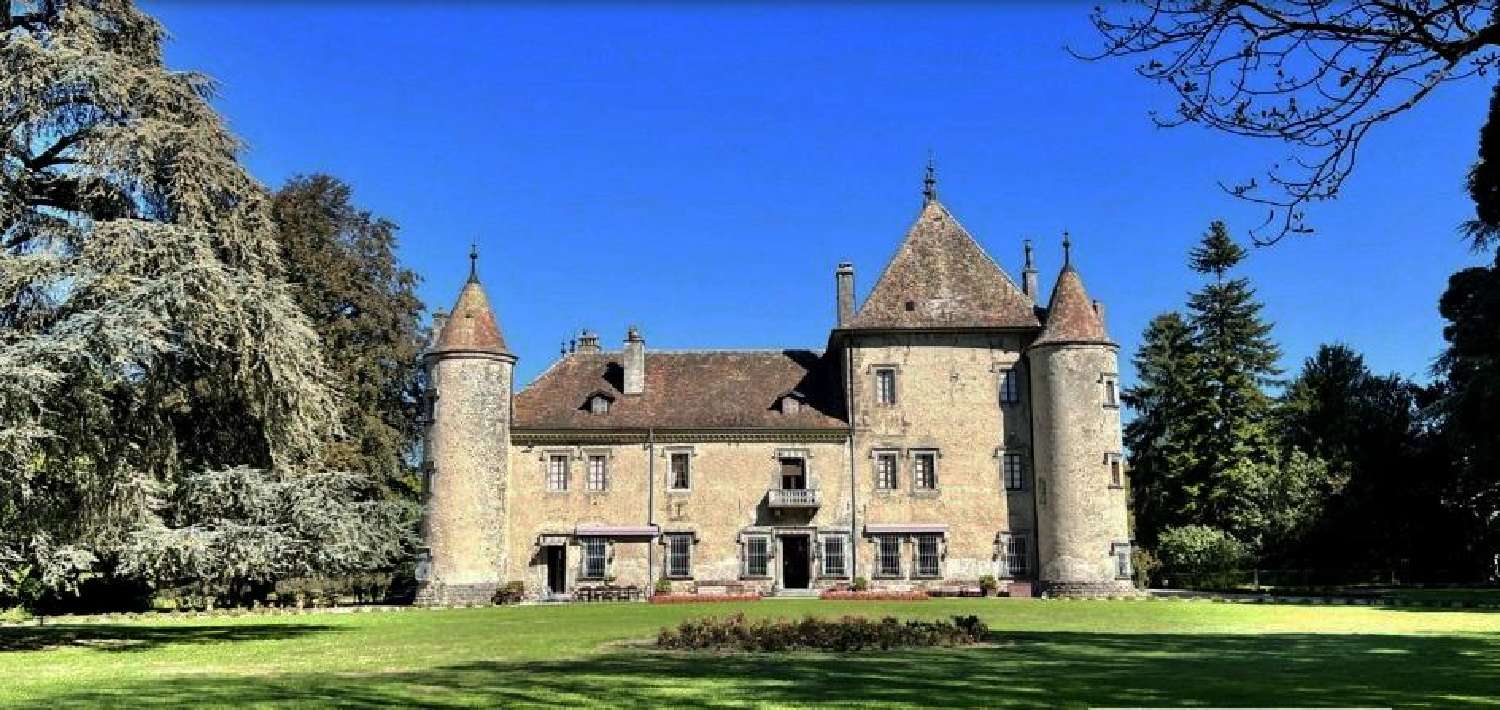  for sale castle Évian-les-Bains Haute-Savoie 3