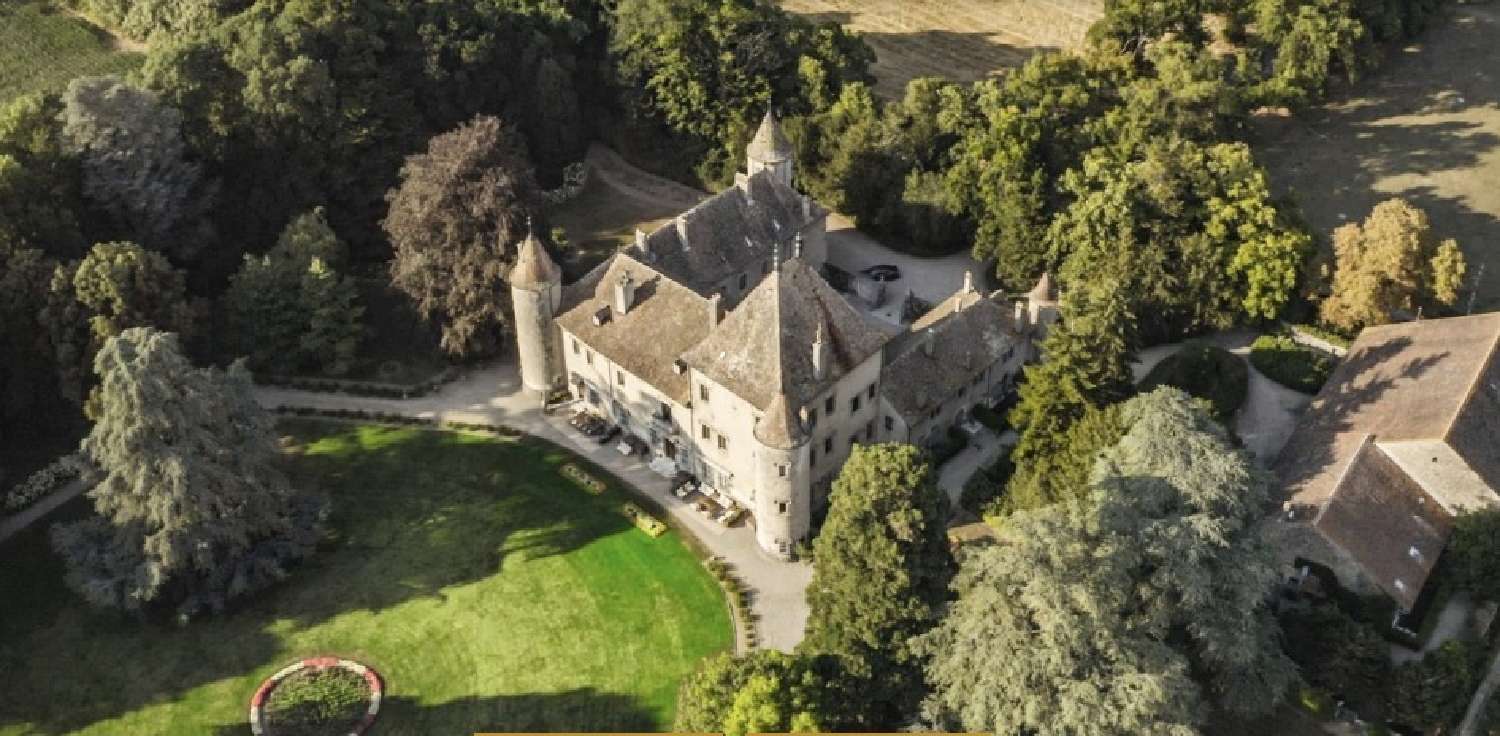 for sale castle Évian-les-Bains Haute-Savoie 4