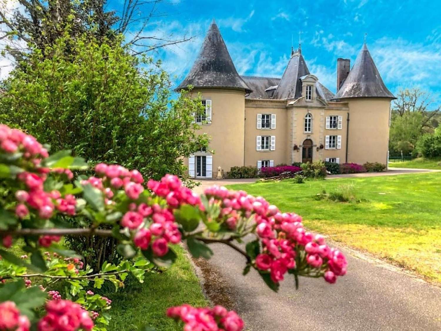  te koop kasteel Limoges Haute-Vienne 1