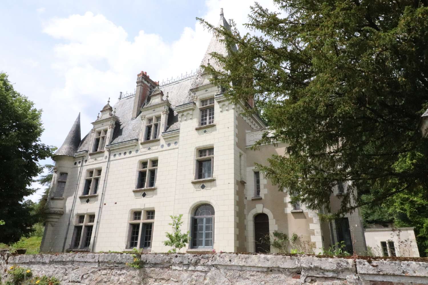 à vendre château Lussault-sur-Loire Indre-et-Loire 1