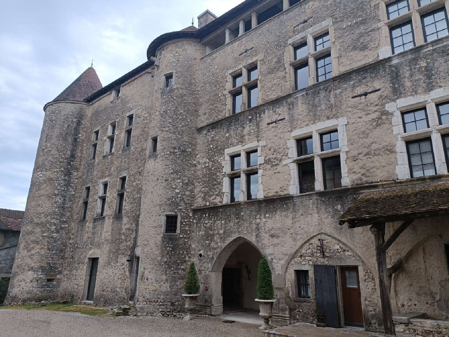  à vendre château Beauvoir-en-Lyons, Lyon Rhône 5