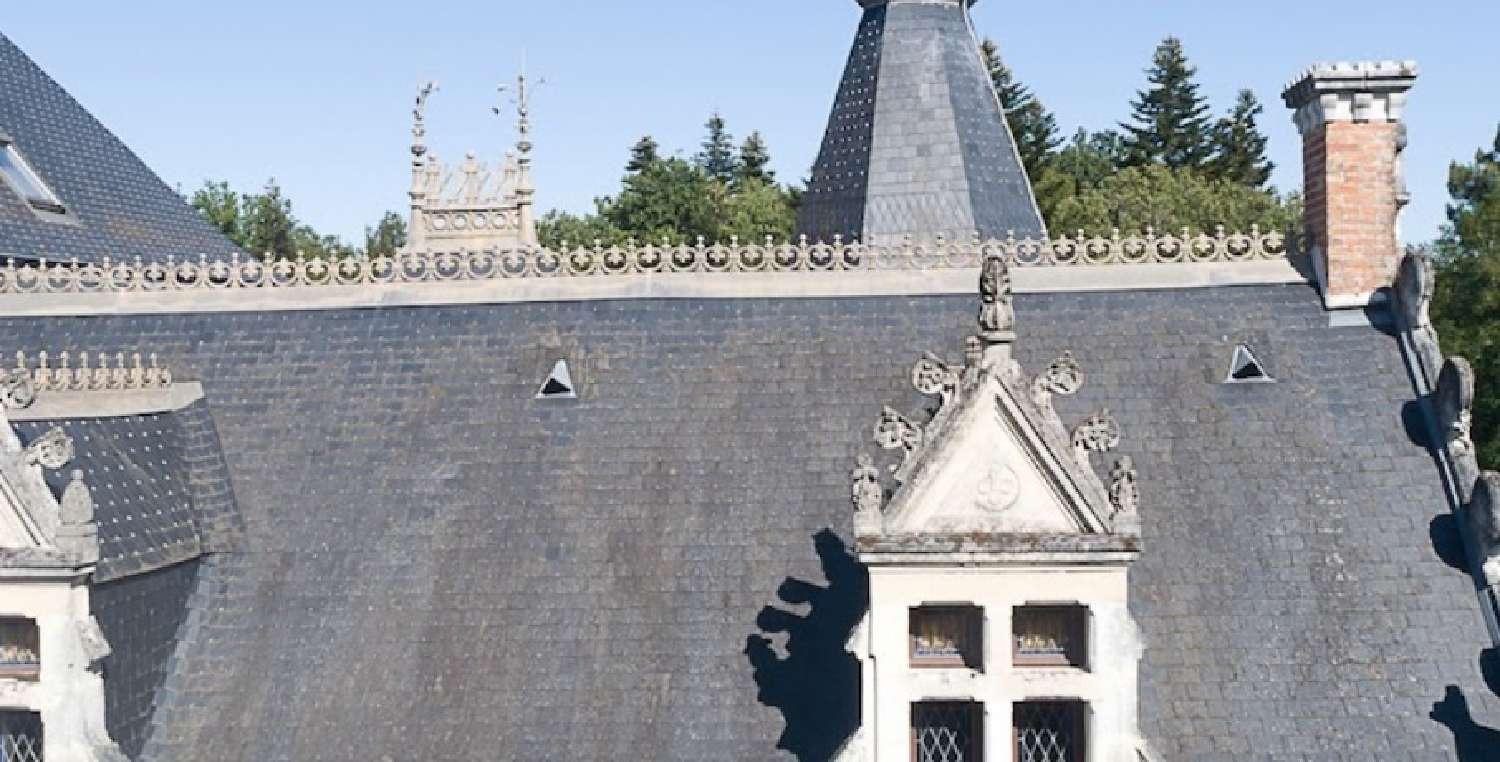  for sale castle Tours Indre-et-Loire 7