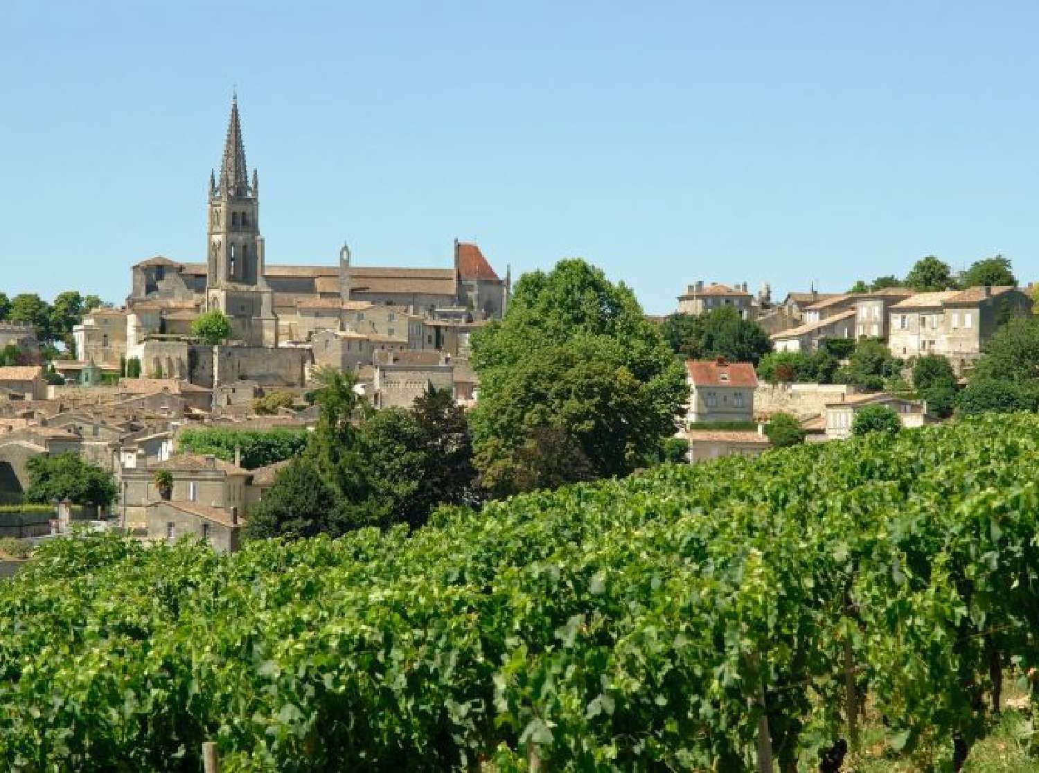  à vendre château Vignonet Gironde 1
