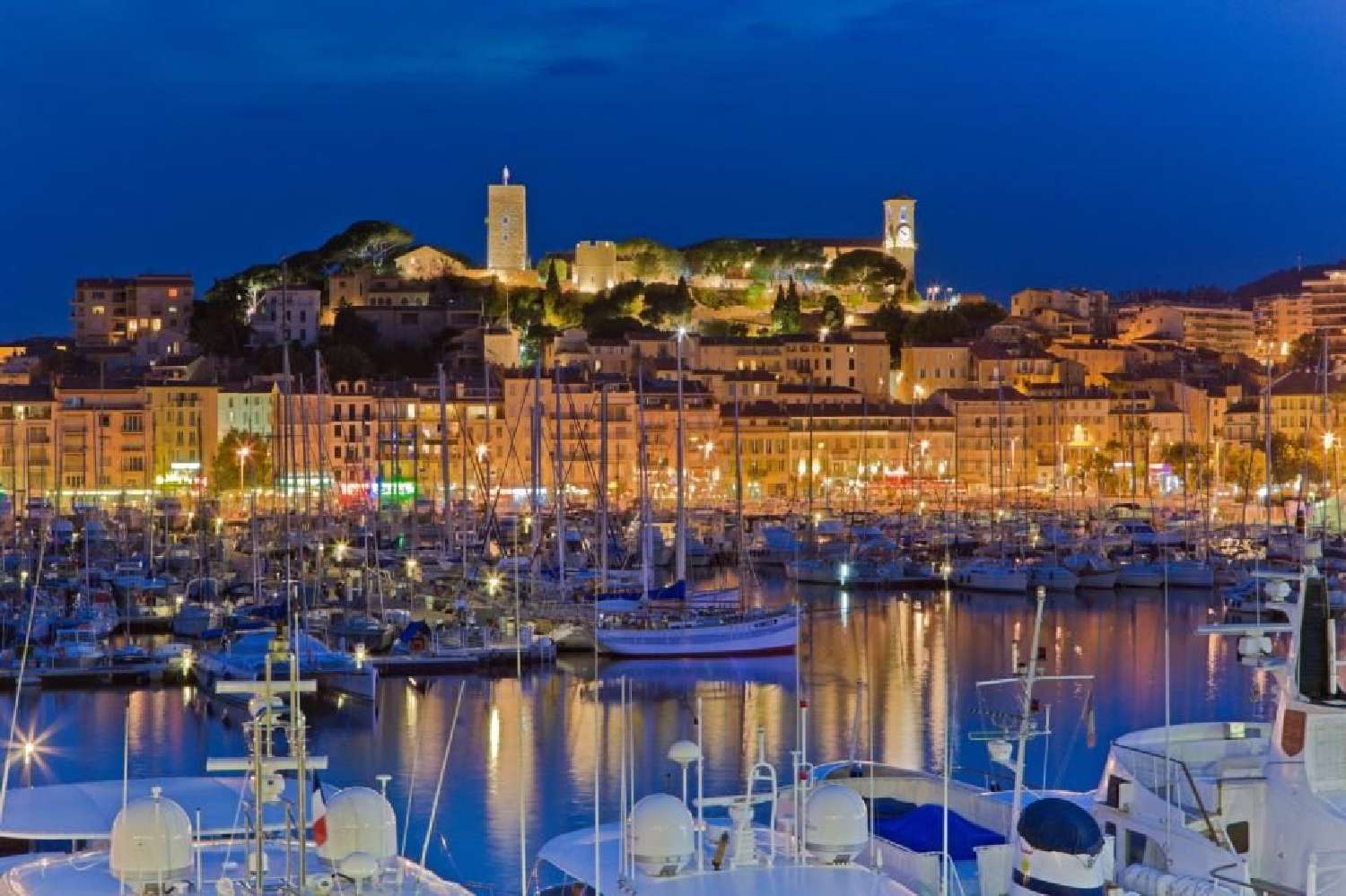 Cannes Alpes-Maritimes Gewerbeimmobilie Bild 6830864