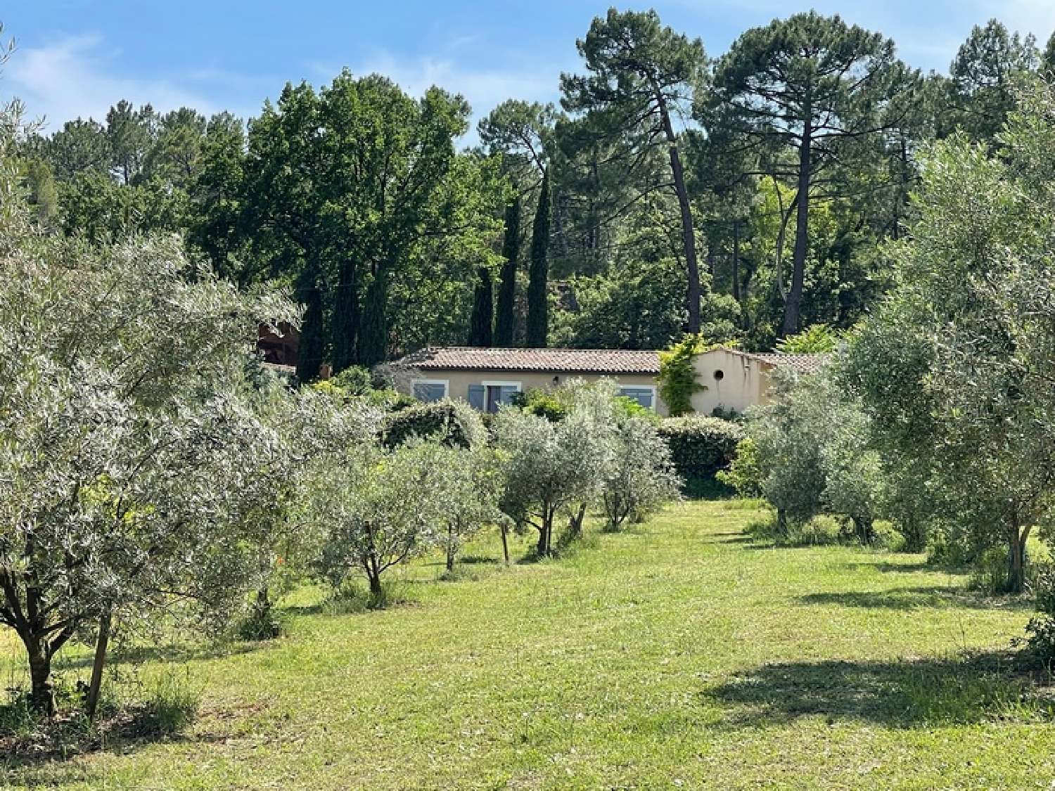  te koop landgoed Roussillon Vaucluse 2