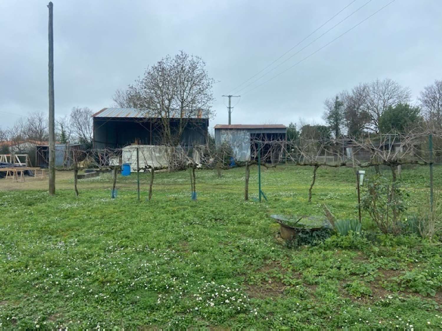  te koop boerderij Bessay Vendée 3