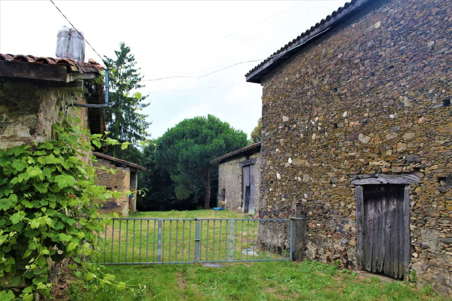  kaufen Bauernhof Les Pins Charente 4