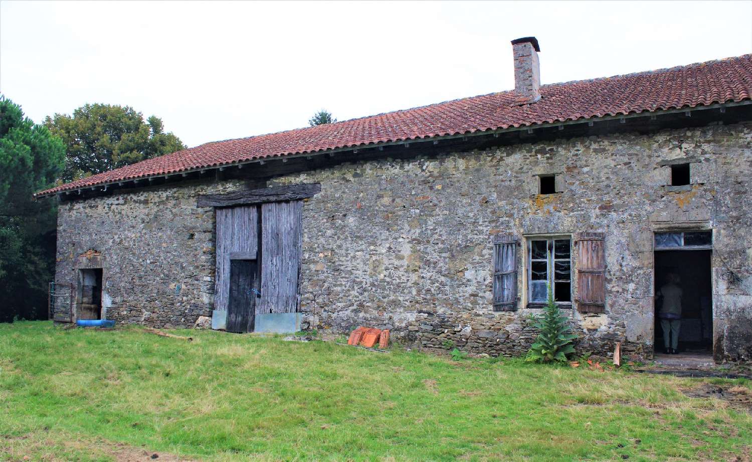  for sale farm Les Pins Charente 6