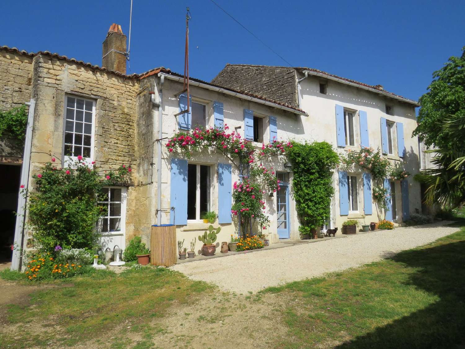  à vendre maison Aulnay Charente-Maritime 1