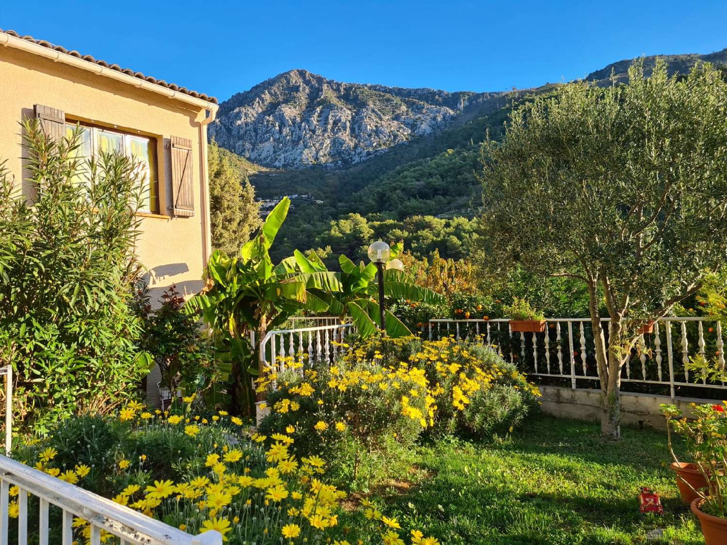  kaufen Haus Menton Alpes-Maritimes 4