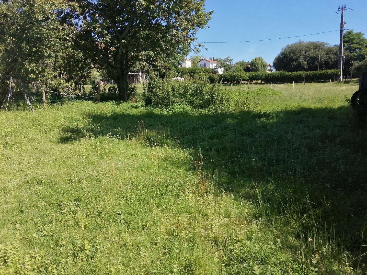  for sale house Chirac Charente 2
