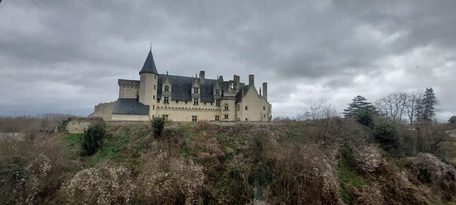  kaufen Haus Montsoreau Maine-et-Loire 2