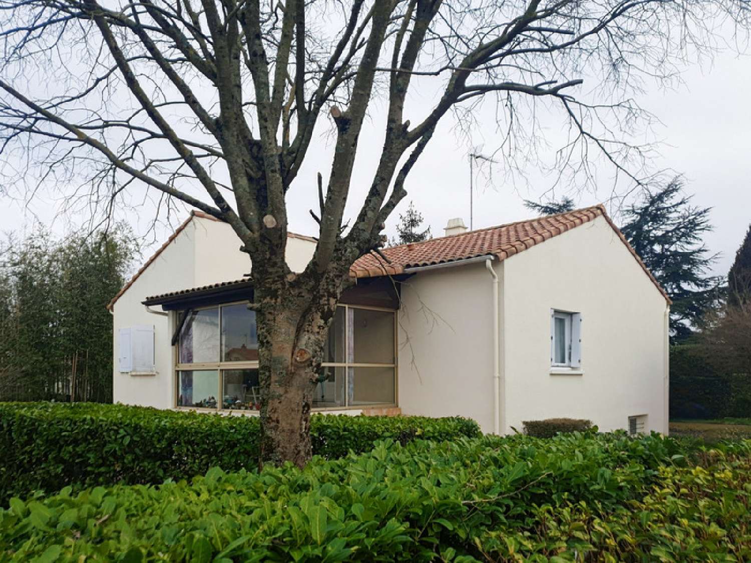  kaufen Haus Niort Deux-Sèvres 1