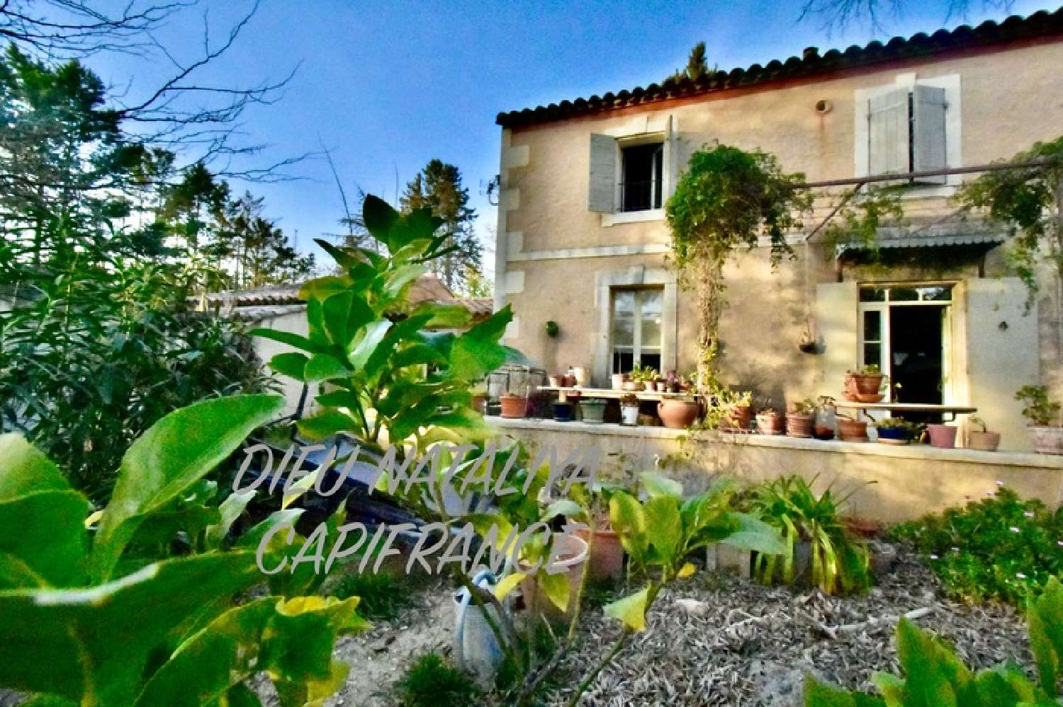  te koop huis Paradou Bouches-du-Rhône 1