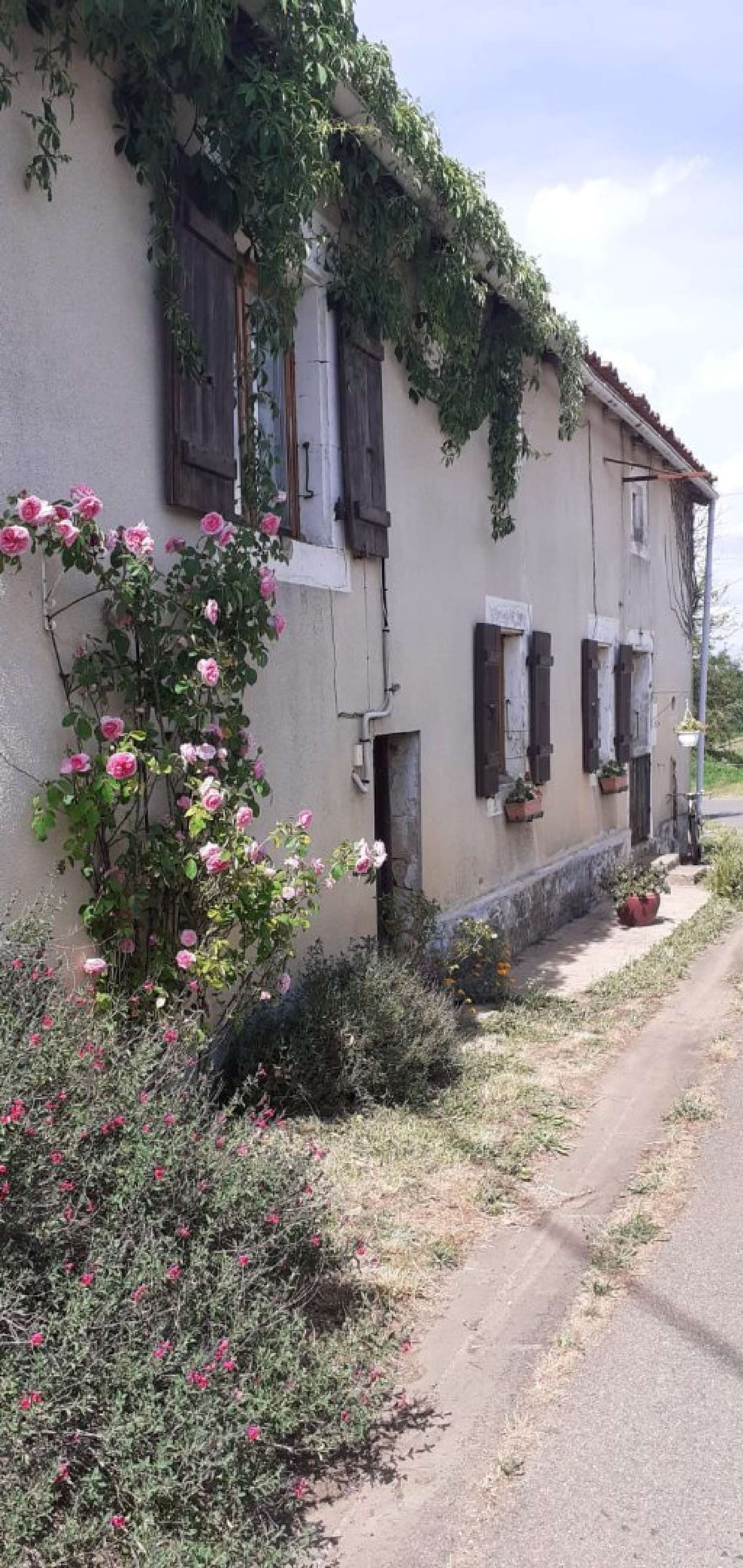  te koop huis Pleuville Charente 2