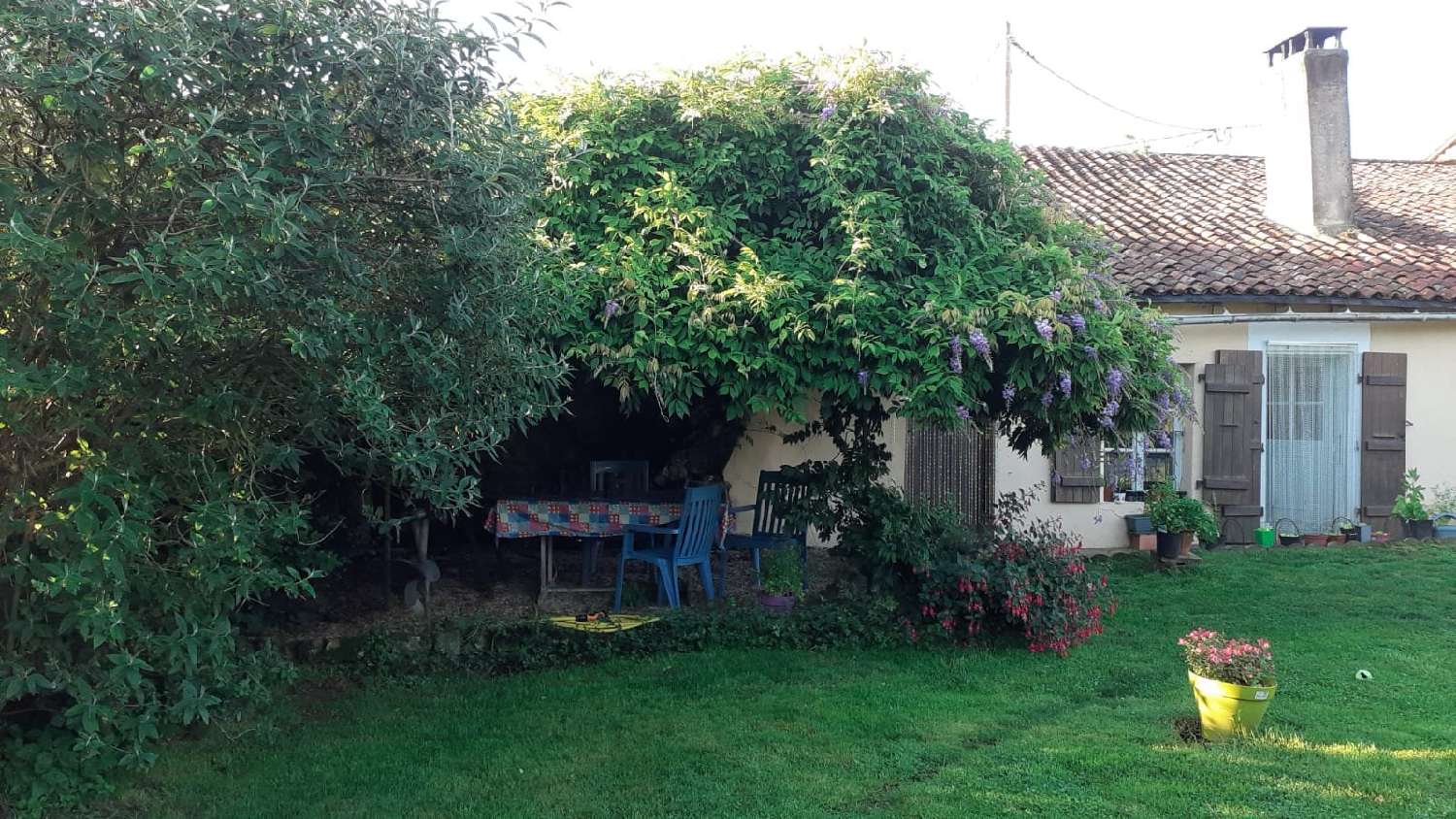  à vendre maison Pleuville Charente 3