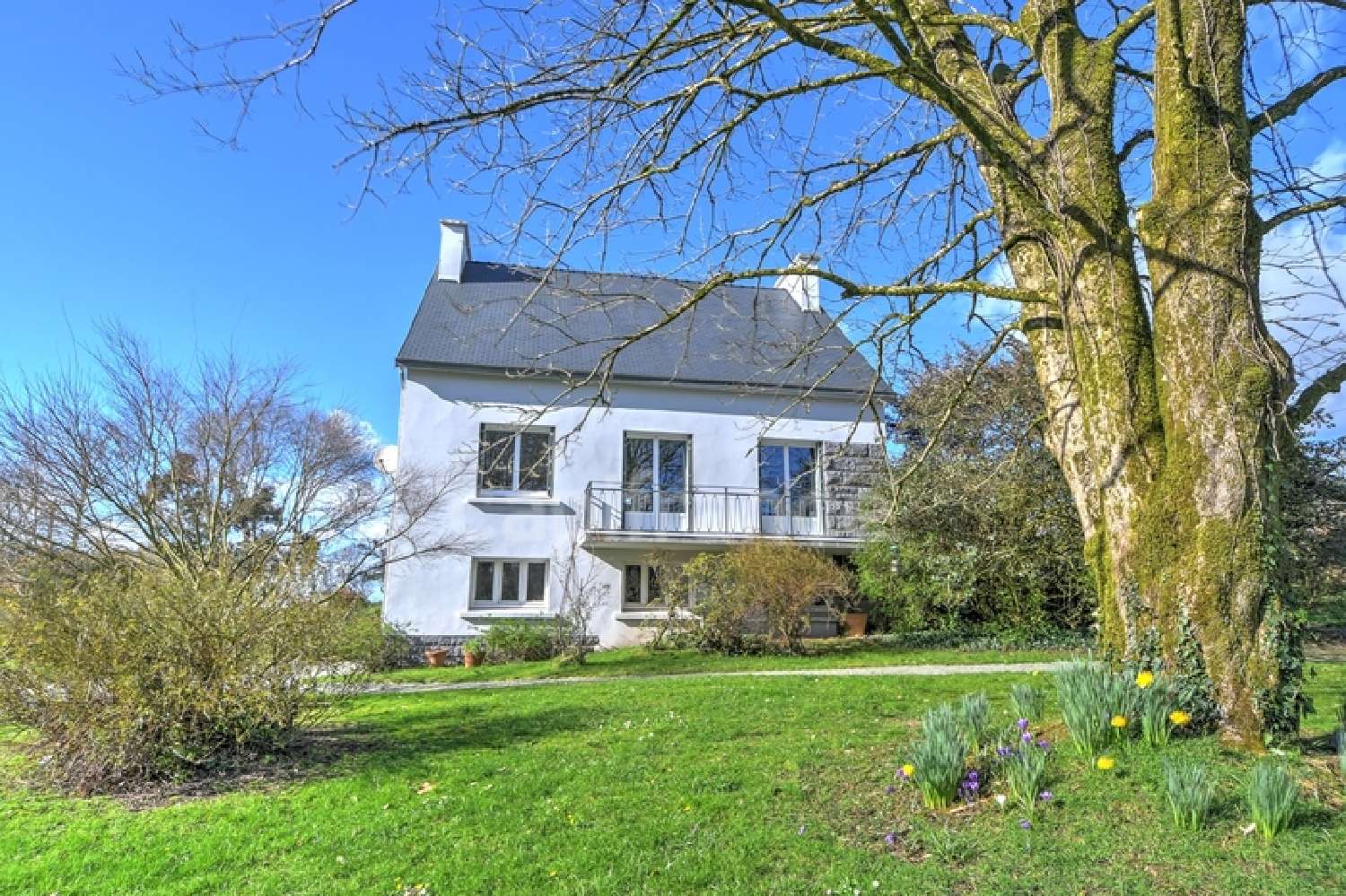  kaufen Haus Plonévez-du-Faou Finistère 1