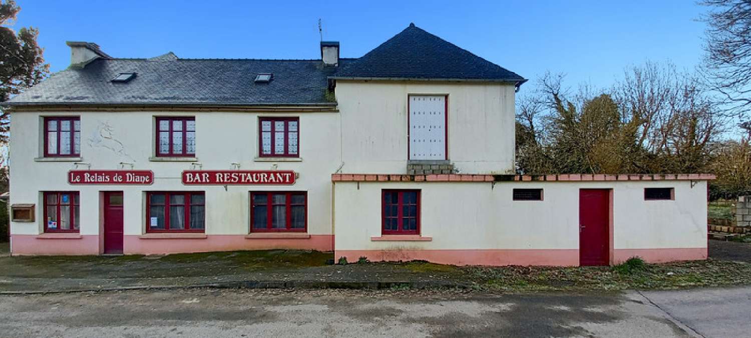  te koop huis Plounévézel Finistère 1